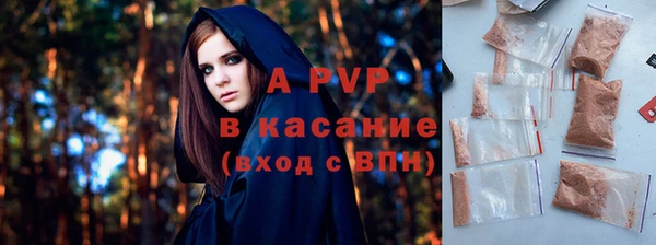 стаф Липки