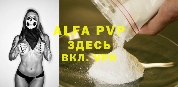 стаф Липки