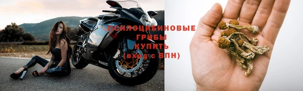 гидропоника Лиски