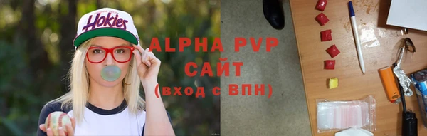 стаф Липки