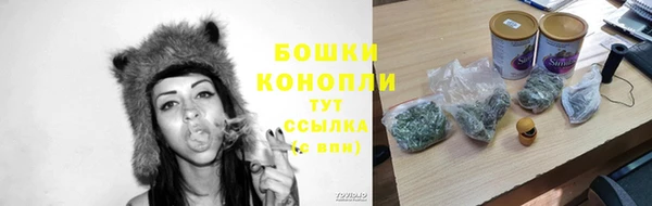 стаф Липки