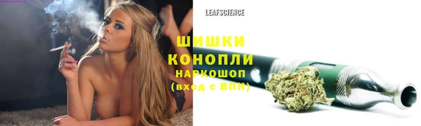 стаф Липки