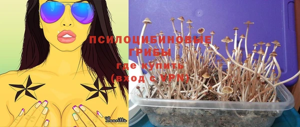 стафф Лихославль
