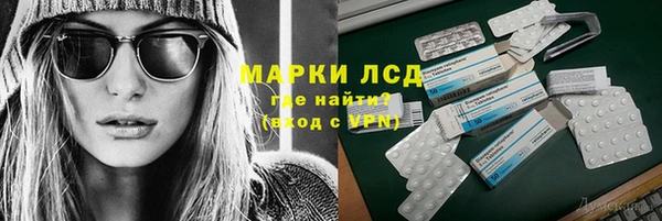 стаф Липки