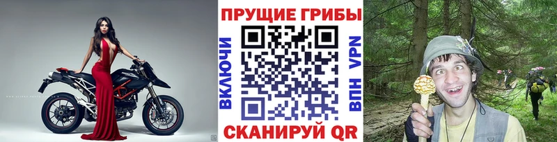 Галлюциногенные грибы Magic Shrooms  Назрань 