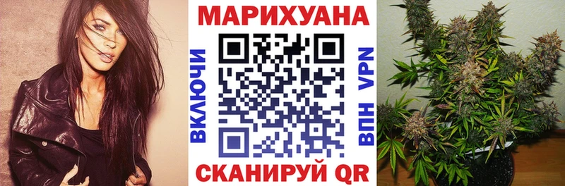 Бошки Шишки конопля Назрань